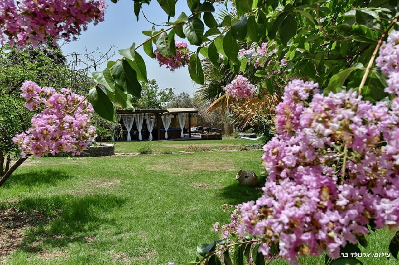 Golana Villa Rosh Pinna Exterior photo